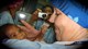 Julie's Journey to Africa